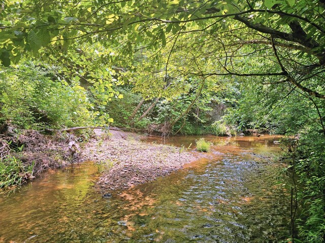 1967 Cub Creek Rd, Appomattox, VA 24522 - photo 16