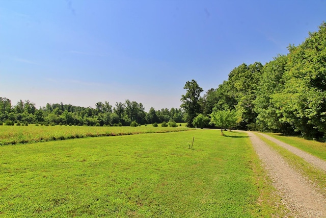 1967 Cub Creek Rd, Appomattox, VA 24522 - photo 8
