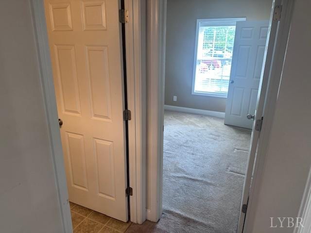 206 Capstone Dr Unit 104, Lynchburg, VA 24502 - photo 14