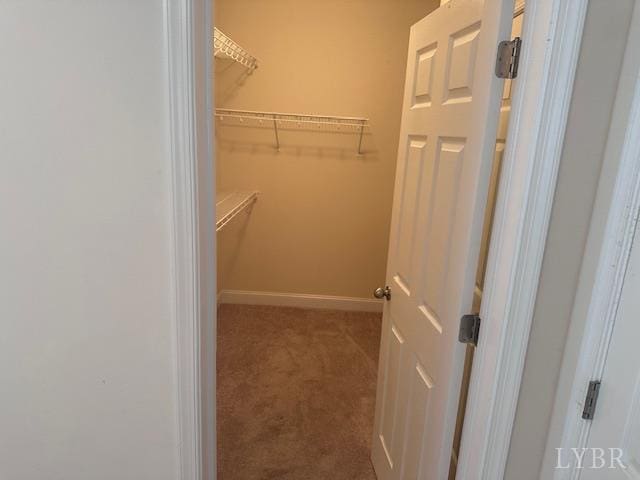 206 Capstone Dr Unit 104, Lynchburg, VA 24502 - photo 9