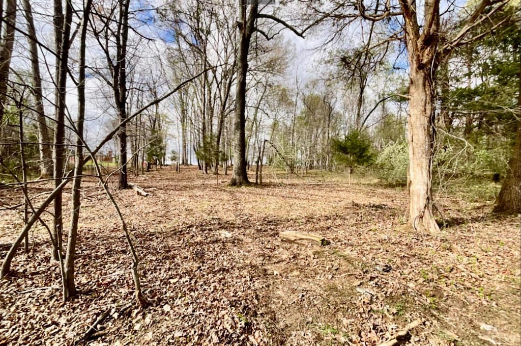 1 Falling Creek Rd, Bedford, VA 24523 - photo 3
