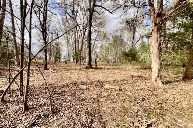 1 Falling Creek Rd, Bedford, VA 24523 - photo 3