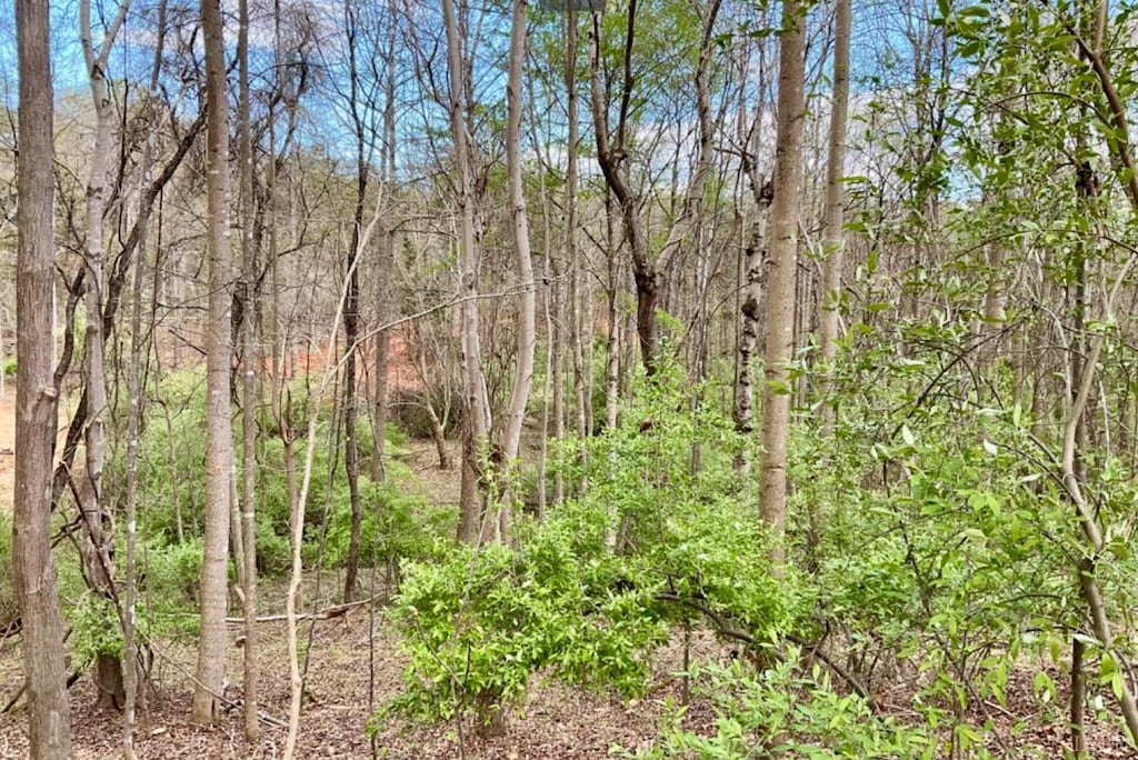1 Falling Creek Rd, Bedford, VA 24523 - photo 4