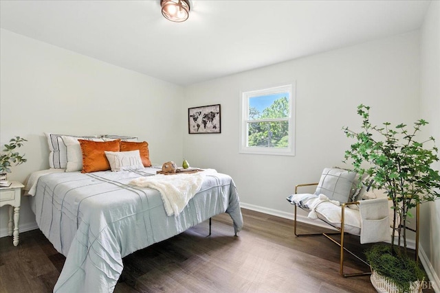 121 Brooke St, Brookneal, VA 24528 - bedroom with dark wood-type flooring