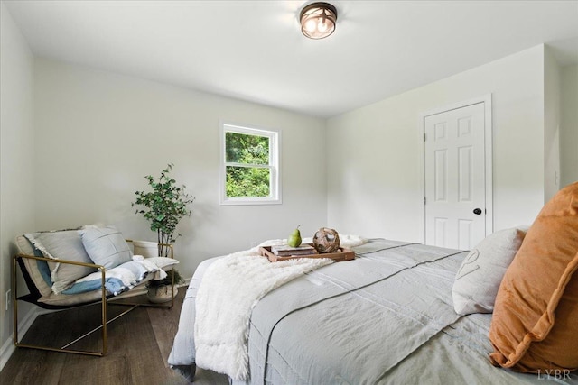 121 Brooke St, Brookneal, VA 24528 - bedroom featuring dark wood-style floors
