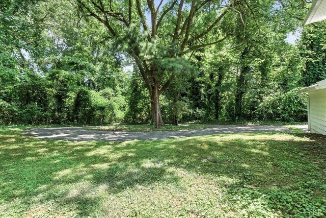 121 Brooke St, Brookneal, VA 24528 - view of green lawn
