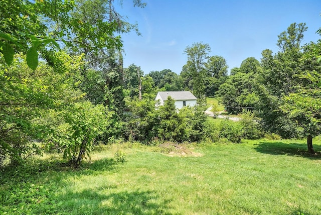 1721 Arkansas Ave, Lynchburg, VA 24501 - photo 40