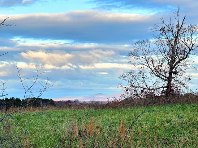 7 Hickory Cove Ln, Moneta, VA 24121 - view of nature