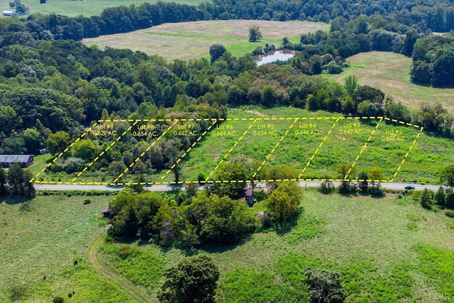 7 Hickory Cove Ln, Moneta, VA 24121 - view of rural area