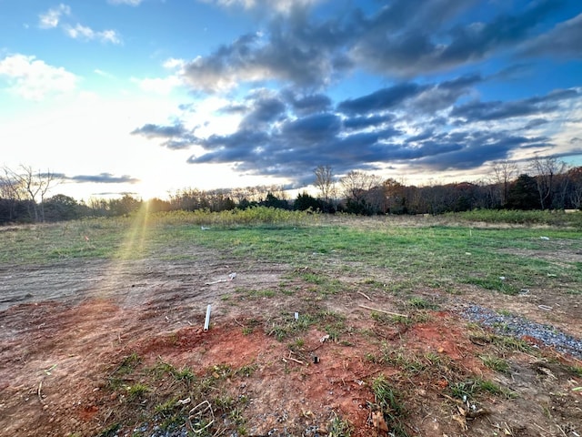 7 Hickory Cove Ln, Moneta, VA 24121 - view of yard with a view of rural / pastoral area
