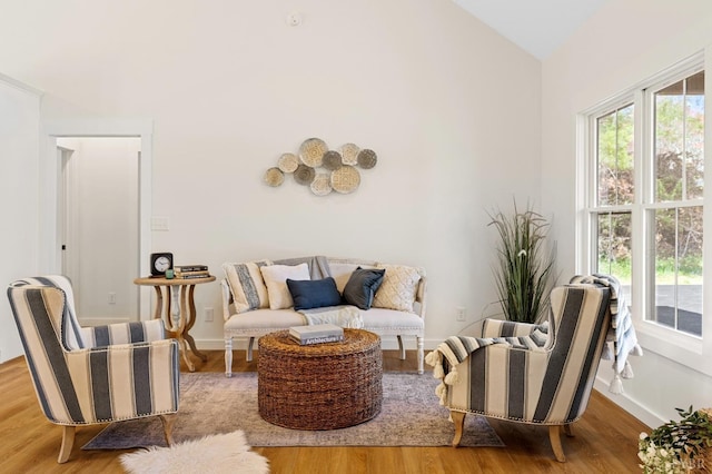 7 Hickory Cove Ln, Moneta, VA 24121 - living area with lofted ceiling and wood finished floors