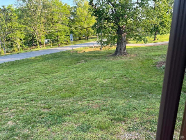 509 Riverbend Rd, Altavista, VA 24517 - photo 24