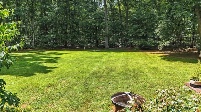 69 Gough Rd, Rustburg, VA 24588 - photo 48