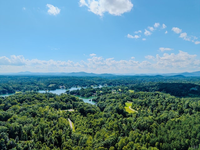 109 Tosh Ln, Goodview, VA 24095 - aerial view of a heavily wooded area and a water and mountain view