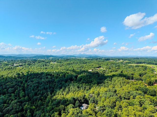 109 Tosh Ln, Goodview, VA 24095 - aerial view of a forest and a mountainous background