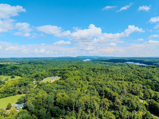 109 Tosh Ln, Goodview, VA 24095 - aerial view of a forest