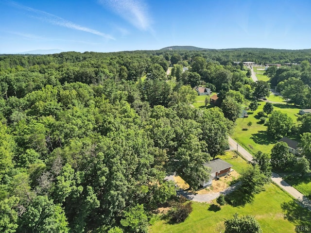 383 Winebarger Cir, Lynchburg, VA 24502 - photo 42