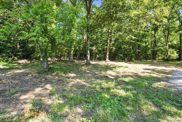 383 Winebarger Cir, Lynchburg, VA 24502 - photo 36