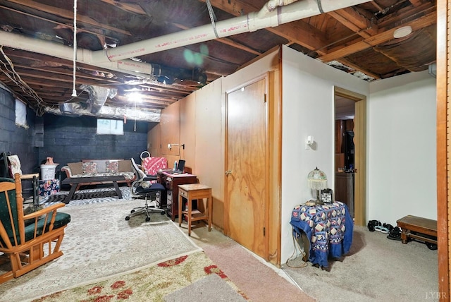7131 Meadowbrook Rd, Lynchburg, VA 24502 - unfinished below grade area with carpet floors