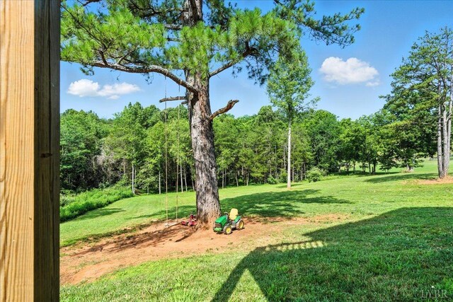 4442 Goode Rd, Goode, VA 24556 - photo 52