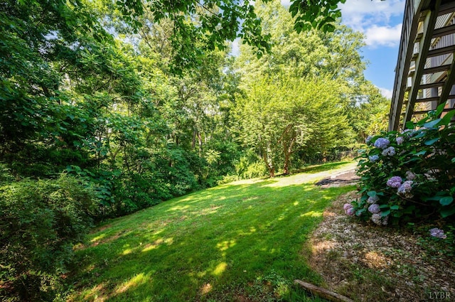 104 Overlink Ct, Lynchburg, VA 24503 - view of green lawn featuring a forest view