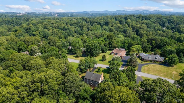 104 Overlink Ct, Lynchburg, VA 24503 - drone / aerial view of a forest