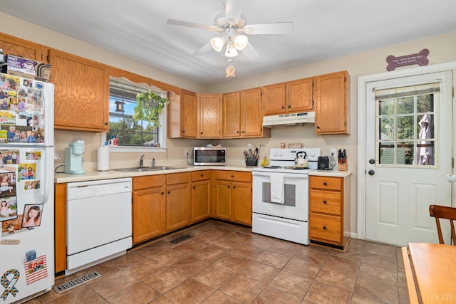 701 Goose Ridge Dr, Forest, VA 24551 - kitchen with white appliances, under cabinet range hood, light countertops, and healthy amount of natural light