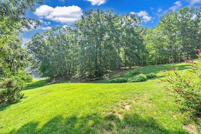 125 Backcove Dr, Moneta, VA 24121 - photo 41