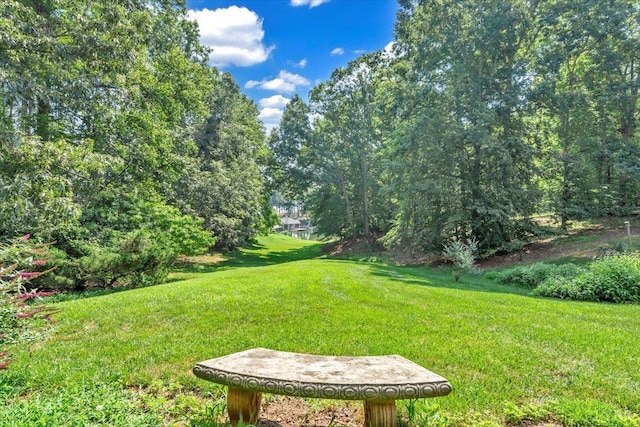 125 Backcove Dr, Moneta, VA 24121 - photo 40