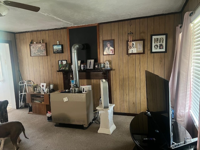 3200 Pocket Rd, Hurt, VA 24563 - carpeted home office with wood walls, a textured ceiling, plenty of natural light, and a ceiling fan
