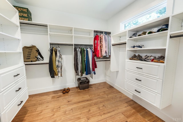 336 Somerset Dr, Appomattox, VA 24522 - walk in closet with light wood finished floors