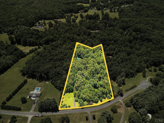 239 Briarcliff Ln, Madison Heights, VA 24572 - aerial view of property and surrounding area featuring property boundaries highlighted