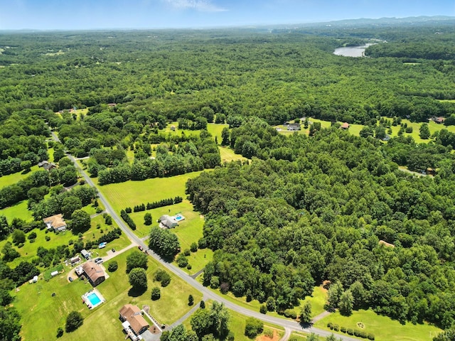 239 Briarcliff Ln, Madison Heights, VA 24572 - bird's eye view of a forest