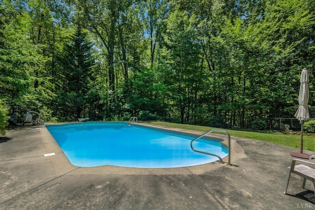 239 Briarcliff Ln, Madison Heights, VA 24572 - swimming pool with a patio area and a view of trees