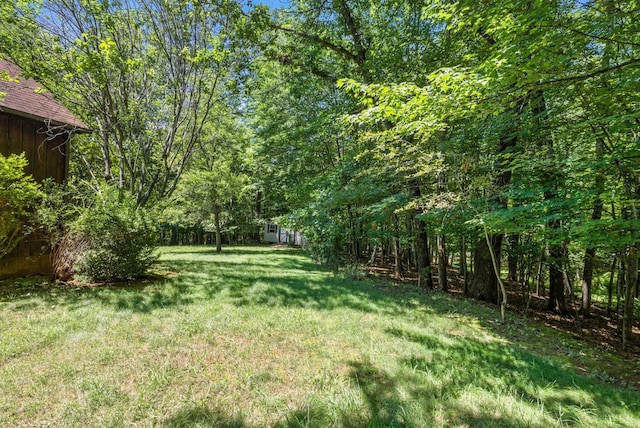 239 Briarcliff Ln, Madison Heights, VA 24572 - view of green lawn featuring an outdoor structure and a view of trees