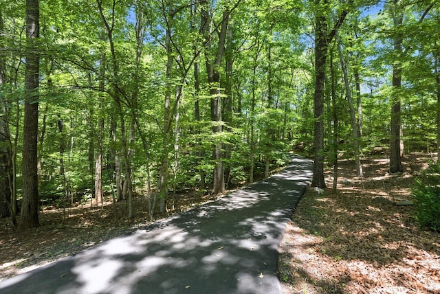 239 Briarcliff Ln, Madison Heights, VA 24572 - view of road featuring a wooded view
