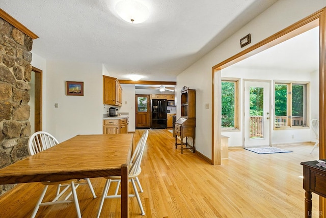 239 Briarcliff Ln, Madison Heights, VA 24572 - dining space with light wood-type flooring, healthy amount of natural light, a ceiling fan, and a textured ceiling