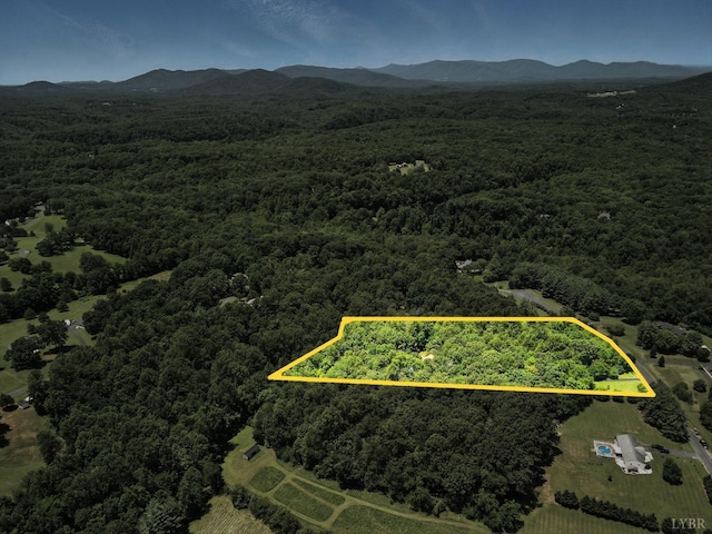 239 Briarcliff Ln, Madison Heights, VA 24572 - aerial view of property's location featuring property parcel outlined
