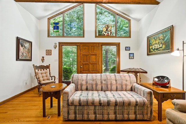 239 Briarcliff Ln, Madison Heights, VA 24572 - living room featuring light wood-style floors and high vaulted ceiling