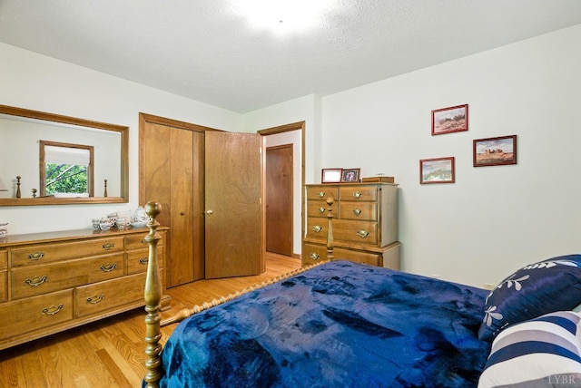 239 Briarcliff Ln, Madison Heights, VA 24572 - bedroom with light wood finished floors and a closet