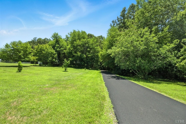 239 Briarcliff Ln, Madison Heights, VA 24572 - view of home's community featuring a yard