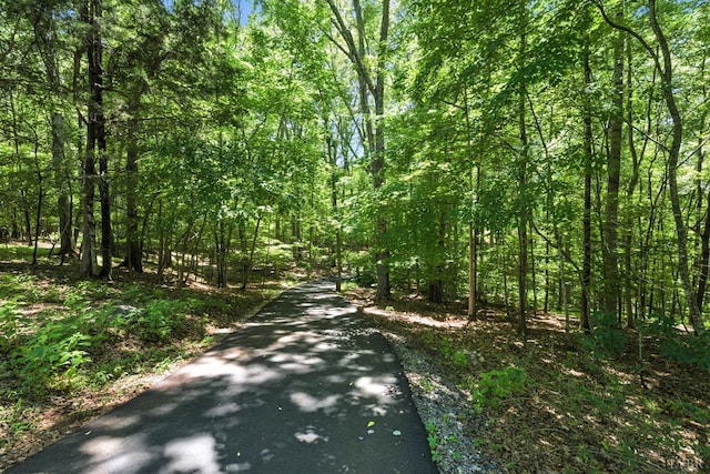 239 Briarcliff Ln, Madison Heights, VA 24572 - view of street featuring a forest view
