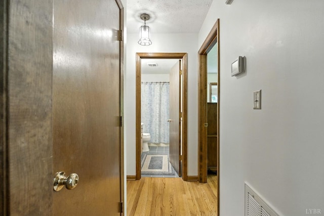 239 Briarcliff Ln, Madison Heights, VA 24572 - hall featuring light wood finished floors and a textured ceiling