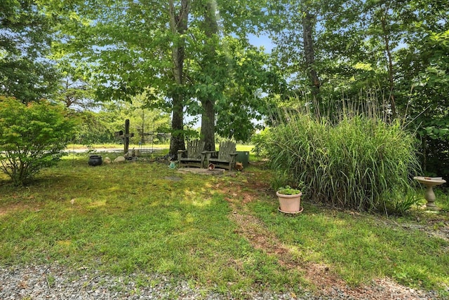 620 Leewood Rd, Lynch Station, VA 24571 - photo 34