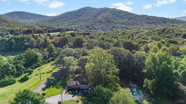 2294 High Peak Rd, Monroe, VA 24574 - view of mountain backdrop with a forest