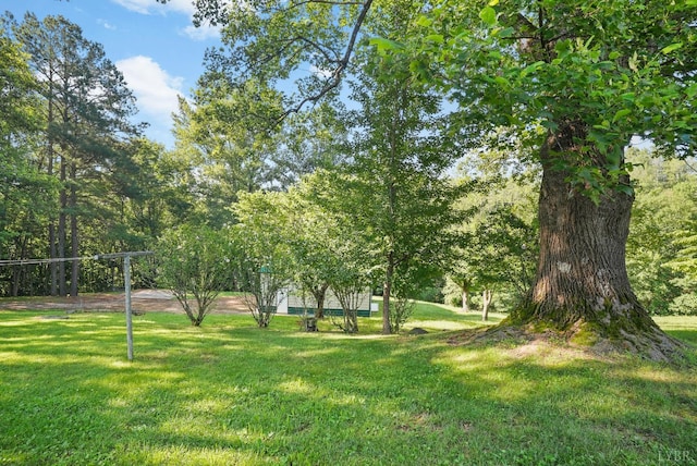 2294 High Peak Rd, Monroe, VA 24574 - view of grassy yard