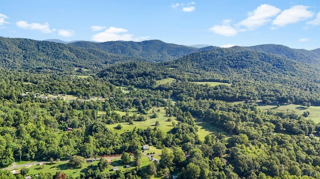 2294 High Peak Rd, Monroe, VA 24574 - photo 48