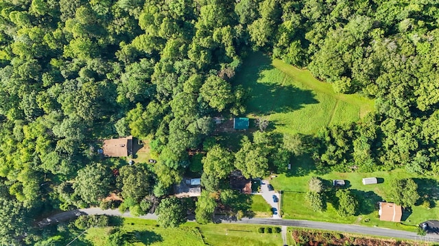 2294 High Peak Rd, Monroe, VA 24574 - aerial overview of property's location