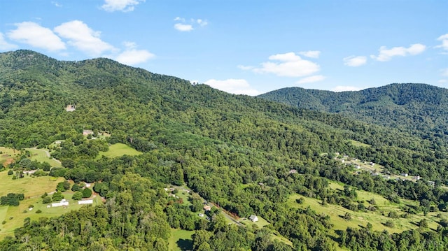 2294 High Peak Rd, Monroe, VA 24574 - view of mountain backdrop with a forest