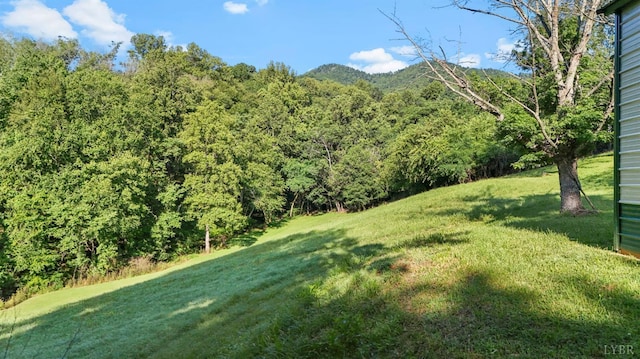 2294 High Peak Rd, Monroe, VA 24574 - view of grassy yard featuring a view of trees